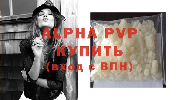 крисы Белокуриха