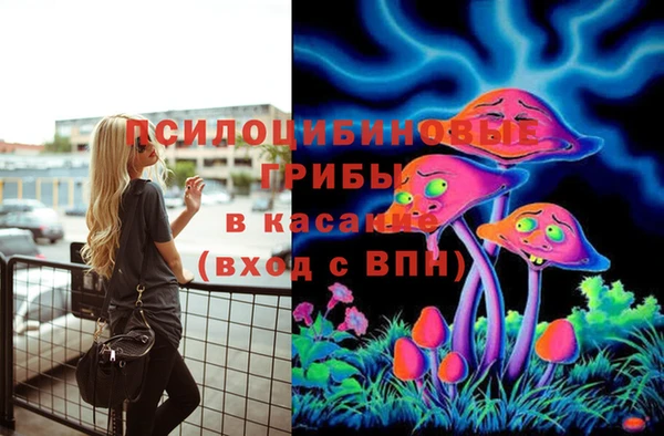 spice Белоозёрский